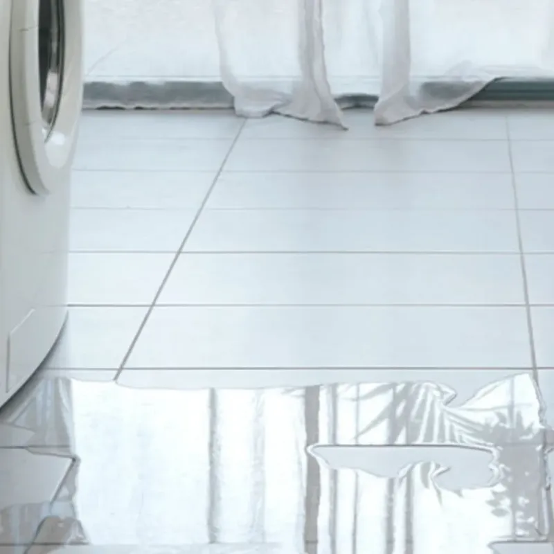 Appliance Leak Cleanup in Switzerland County, IN