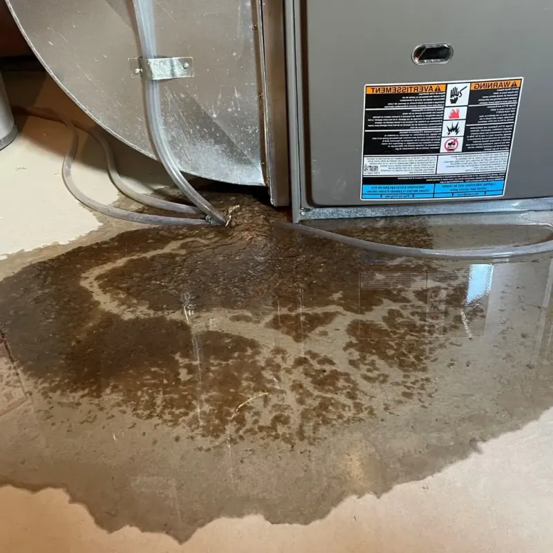 Pipe Burst and Leak Restoration in Switzerland County, IN